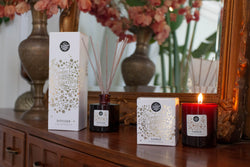 Limited Edition Reed Diffuser + Candle - Cinnamon, Clove, Nutmeg & Pine